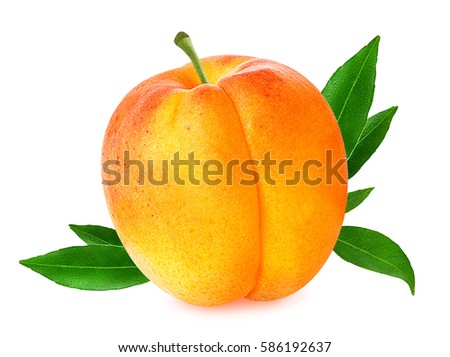 Similar – Image, Stock Photo Fresh peaches and apricots in wooden box