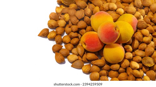 Apricot kernel. Refined apricot kernel oil is used as a flavoring in foods. Amygdalin and a semi-synthetic form of amygdalin known as laetrile have been used to fight cancer.