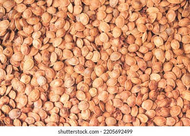 Apricot kernels background. Minimal fruit concept with kernels. A heap of apricot pits, apricot kernels oil. Organic fruit wallpaper. Organic fruit seeds. Flat lay. Healty food.