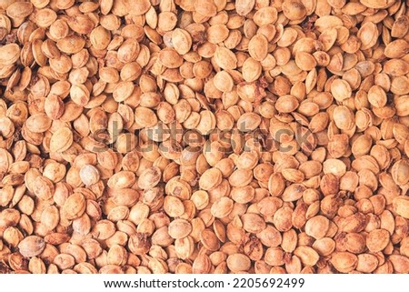 Apricot kernels background. Minimal fruit concept with kernels. A heap of apricot pits, apricot kernels oil. Organic fruit wallpaper. Organic fruit seeds. Flat lay. Healty food.