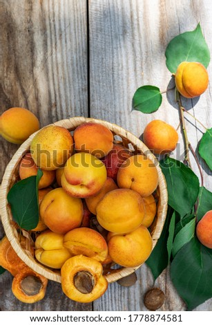 Similar – Image, Stock Photo Ripe apricots Fruit