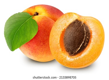 Apricots fruit with leaf isolate. Apricots half on white. Apricots clipping path. High End Retouching
