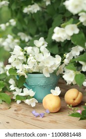 Apricots and Jasmine flowers in blue Cup