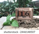 
April 16th. Day 16 of april month. Image of april 16 wooden color calendar on natural garden background. Business calendar. Calendar on soil and plant. Spring time. Sustainability date. Eco concept.