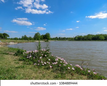 April Afternoon At Bob Woodruff Park, Plano, Texas