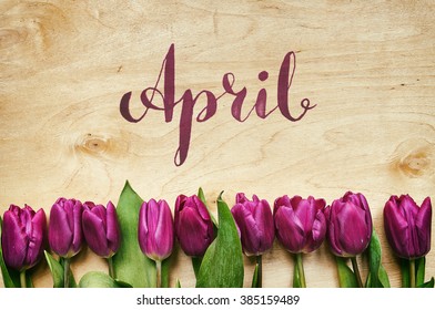 April brush nib lettering calligraphy. Pink, tulips bunch on light plywood background. Postcard template.