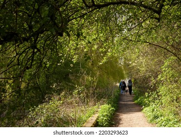 In April, A Family Group Walking On A Woodland Path