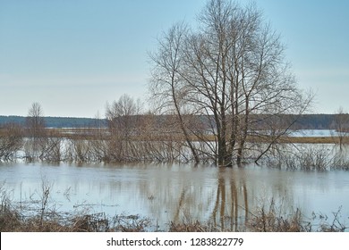 Река мокша фото