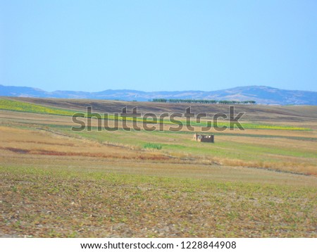 Similar – in Südafrika Naturreservat Teichsee und Busch