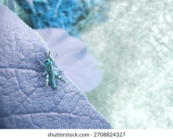 Aqua Observer: Tiny Teal Insect on a Textured Periwinkle Leaf