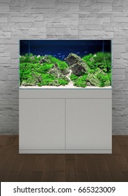 Aqua Scape Nature Aquarium Plant And Fish Tank 5