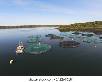 Atlantic Salmon Aquaculture Cage Site Stock Photo (Edit Now) 1391514386