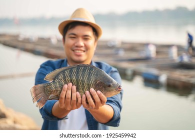 Aquaculture farmers hold quality tilapia yields in hand, guaranteeing integrity in organic bio-aquaculture. Commercial aquaculture in large rivers in Asia. Fish is a high-quality protein food source.