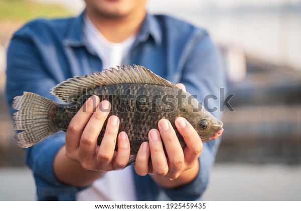 Aquaculture farmers hold quality tilapia yields\
in hand, guaranteeing integrity in organic bio-aquaculture.\
Commercial aquaculture in large rivers in Asia. Fish is a\
high-quality protein food\
source.