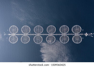 Aquaculture Fish Farm In A Lake Used To Hold Salmon, Trout And Other Fish Species For The Food Market