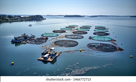 Aquaculture Fish Farm Salmon Cages 