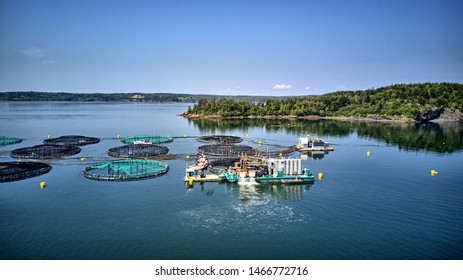 Aquaculture Fish Farm Salmon Cages Stock Photo 1466772716 | Shutterstock