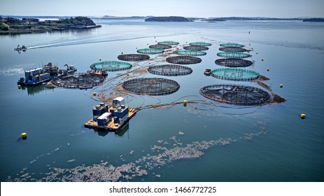 Aquaculture Fish Farm Salmon Cages 