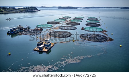 aquaculture fish farm Salmon cages 