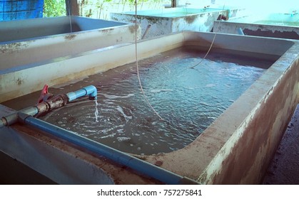 Aquaculture Fish Ponds