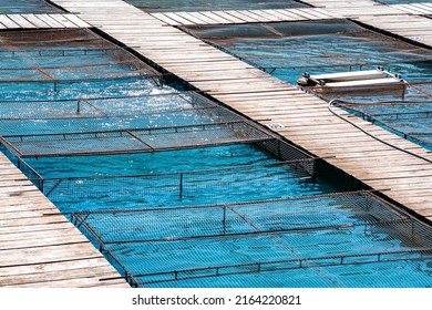 Aquaculture Installations With Fish Cages On A Fish Farm