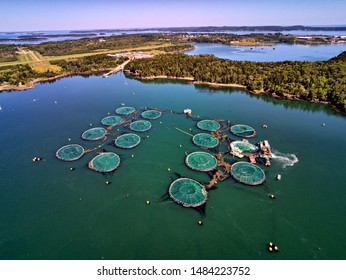Aquaculture moving a sea lice Barge