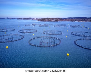 aquaculture with net puller aside Pier