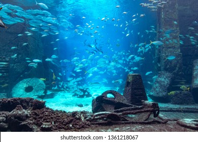 Aquarium At Atlantis, Bahamas