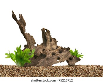 Aquarium background. Driftwood,plant and gravels.