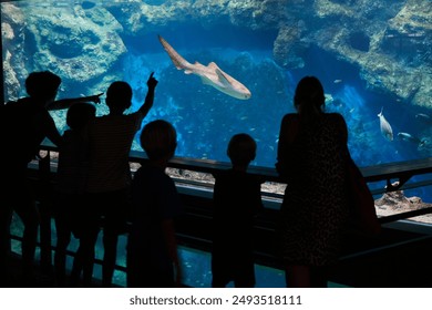 Aquarium visitors looking at shark in big aqarium - Powered by Shutterstock