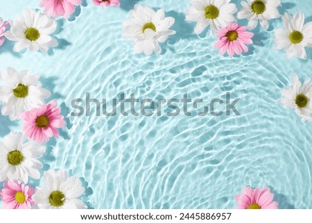 Similar – Image, Stock Photo spring Spring Nature