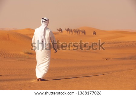 Arab shepherd of the camels standing in the desert and looking to his herd of camels. Arabian farmer concept.
