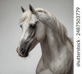 The Arabian horse is a world-famous breed known for its beauty, intelligence, and athleticism.  They are one of the oldest horse breeds and originated in the Arabian Peninsula.  Easily recognizable fo