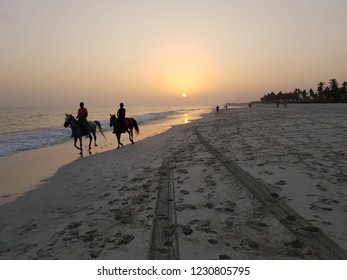 
Arabian horses at dusk at the booth