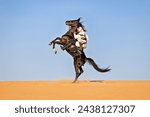 Arabian man triumphing in battle and rearing his horse while holding his bow and arrow