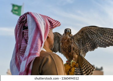 Arabic man from Saudi Arabia wears traditional clothes and holding trained falcon - Powered by Shutterstock