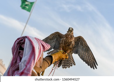 Arabic man from Saudi Arabia wears traditional clothes and holding trained falcon - Powered by Shutterstock