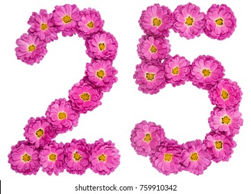 Arabic numeral 25, twenty five, from flowers of chrysanthemum, isolated on white background