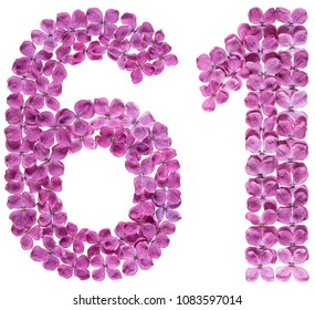 Arabic numeral 61, sixty one, from flowers of lilac, isolated on white background - Shutterstock ID 1083597014