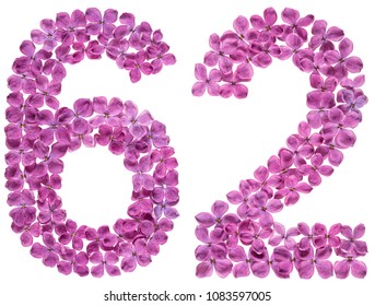 Arabic numeral 62, sixty two, from flowers of lilac, isolated on white background - Shutterstock ID 1083597005