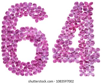 Arabic numeral 64, sixty four, from flowers of lilac, isolated on white background - Shutterstock ID 1083597002