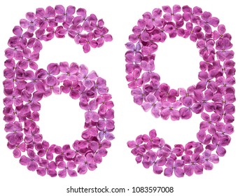Arabic numeral 69, sixty nine, from flowers of lilac, isolated on white background - Shutterstock ID 1083597008