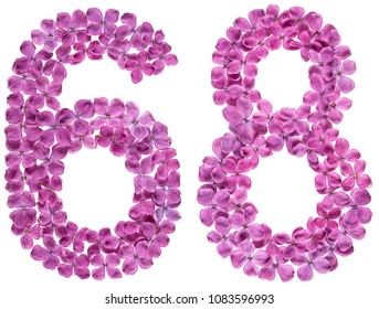 Arabic numeral 8, sixty eight, from flowers of lilac, isolated on white background - Shutterstock ID 1083596993