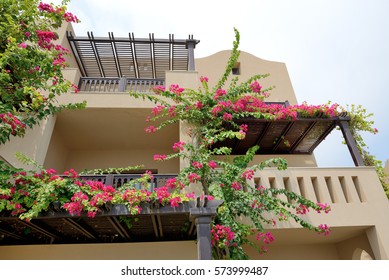 Arabic Style Villas Luxury Hotel Bougainvillea Stock Photo 573999487 ...