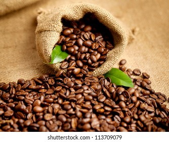 arabica coffee beans in a burlap bag