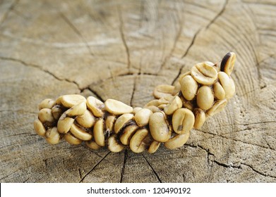 Arabica - Coffee  Arabica - Coffee Beans - Coffee Beans By Viverridae - Coffee Seed - Ripe