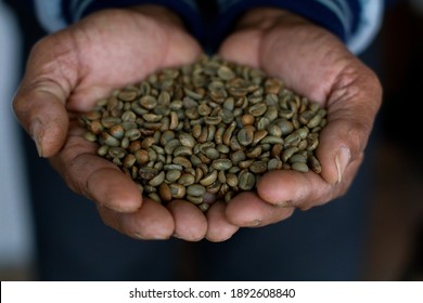 Arabica Green Bean Coffee From Posong Temanggung Central Java. 