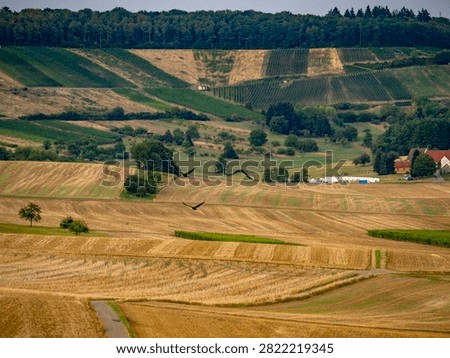 Arable farming and midsummer drought