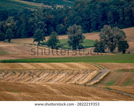 Arable farming and midsummer drought