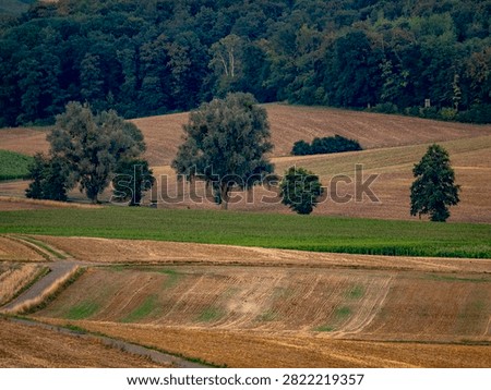Arable farming and midsummer drought